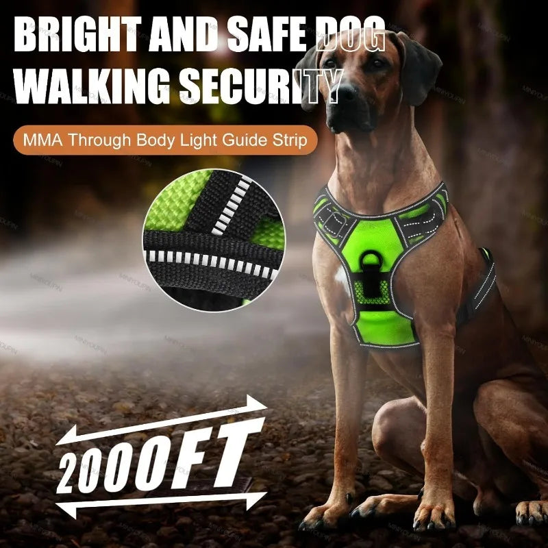 LED Dog Harness for Night Safety – No Pull Design, Rechargeable, Comfortable Fit-3