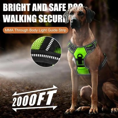 LED Dog Harness for Night Safety – No Pull Design, Rechargeable, Comfortable Fit-3