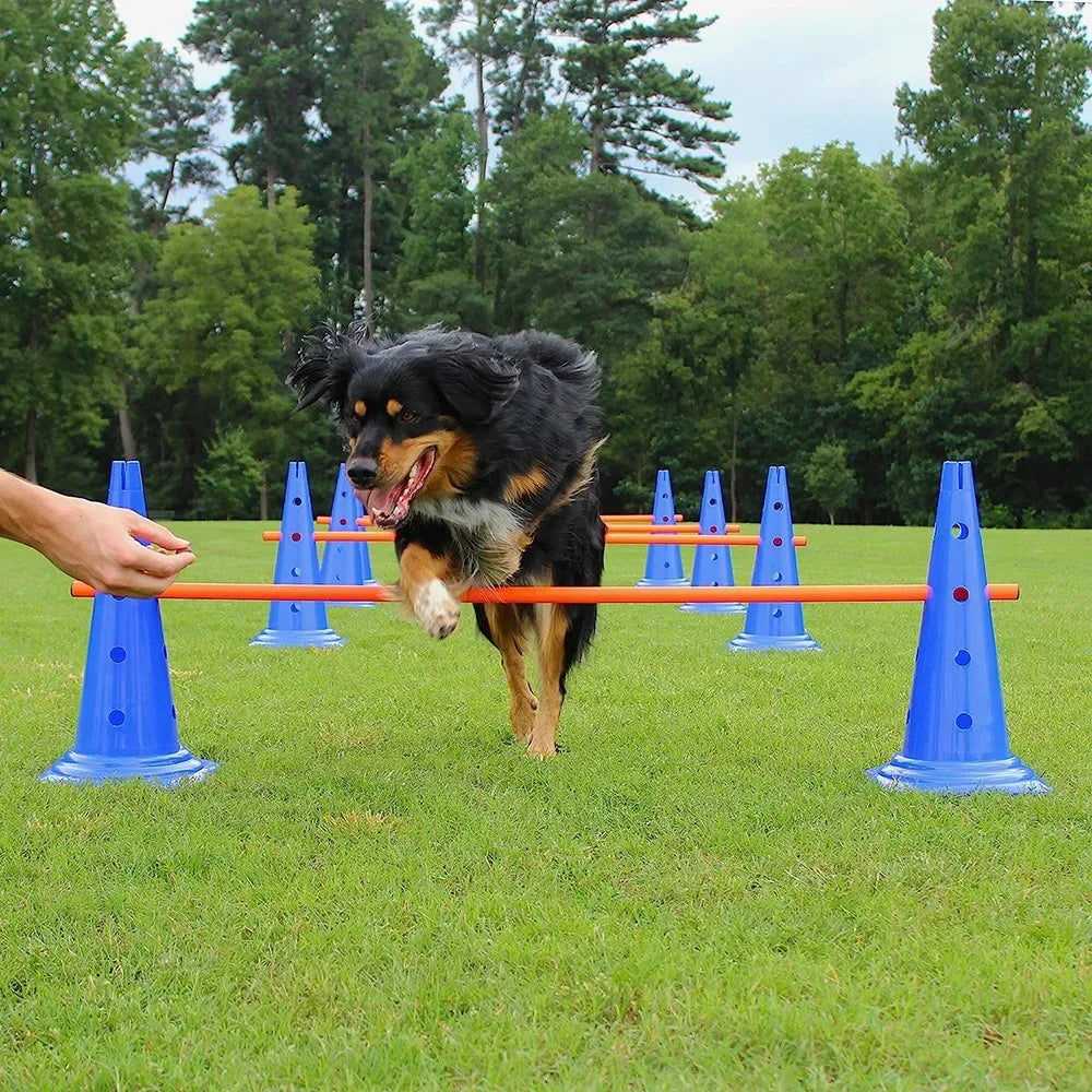 Agility Course Equipment for Dogs – Complete Obstacle Set, Adjustable Jumping Bar, Durable Design-2