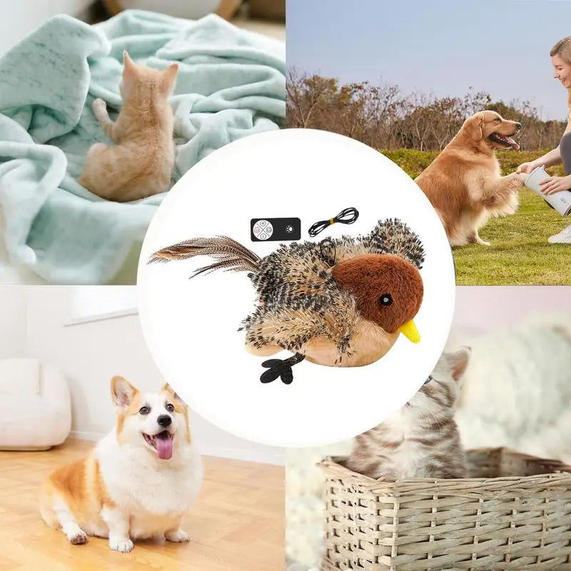 Interactive Cat Toy – USB Rechargeable, Remote Control, Flapping Bird-5