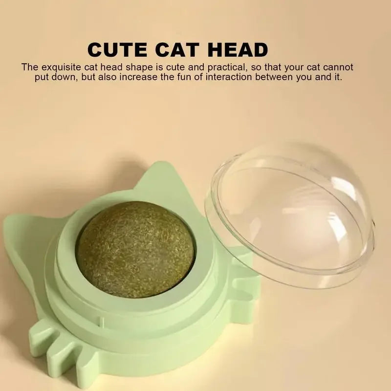 Cat Toy for Cats – Catnip Balls, Lickable Snack, Promotes Dental Health-3