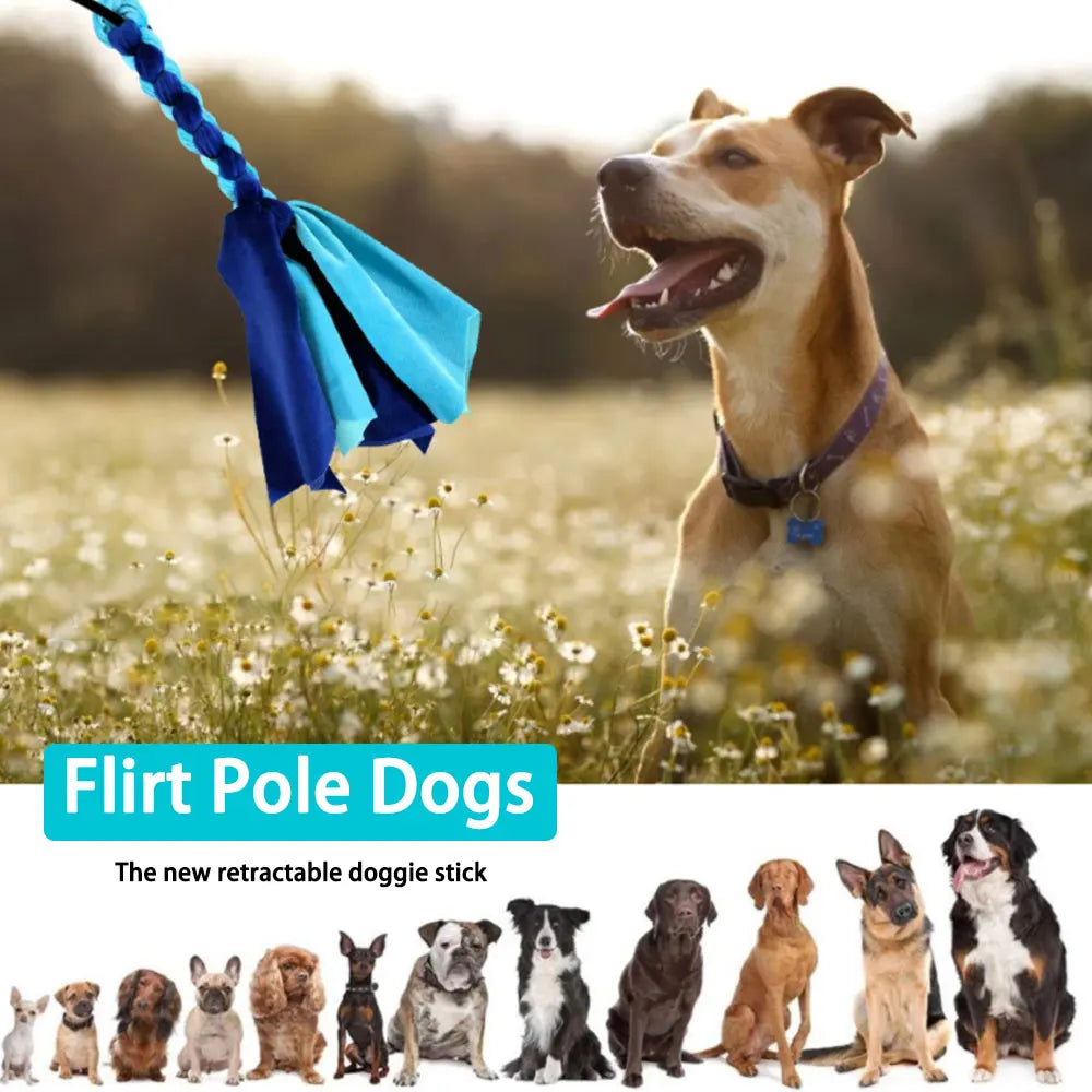 Interactive Dog Toy for Medium to Large Dogs – Extendable Aluminum Rod, Durable Bungee Rope, Engaging Flannel Toy-5