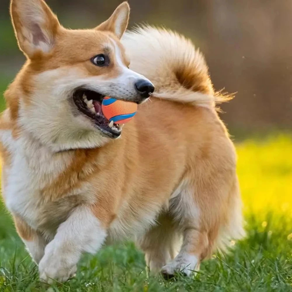 Fetch Ball Toy for Dogs – Tough, Durable, Solid Elastic for Interactive Play-4