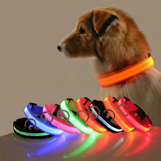 LED Dog Collar Light for Dogs – USB Rechargeable, Anti-Lost, Lightweight Visibility-2