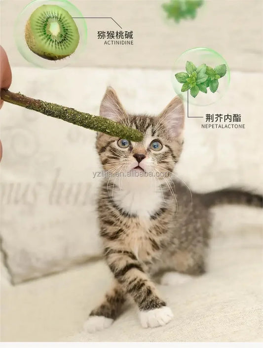 Cat Chew Sticks – Natural Matatabi Silvervine, Promotes Dental Health, 6-Pack-4