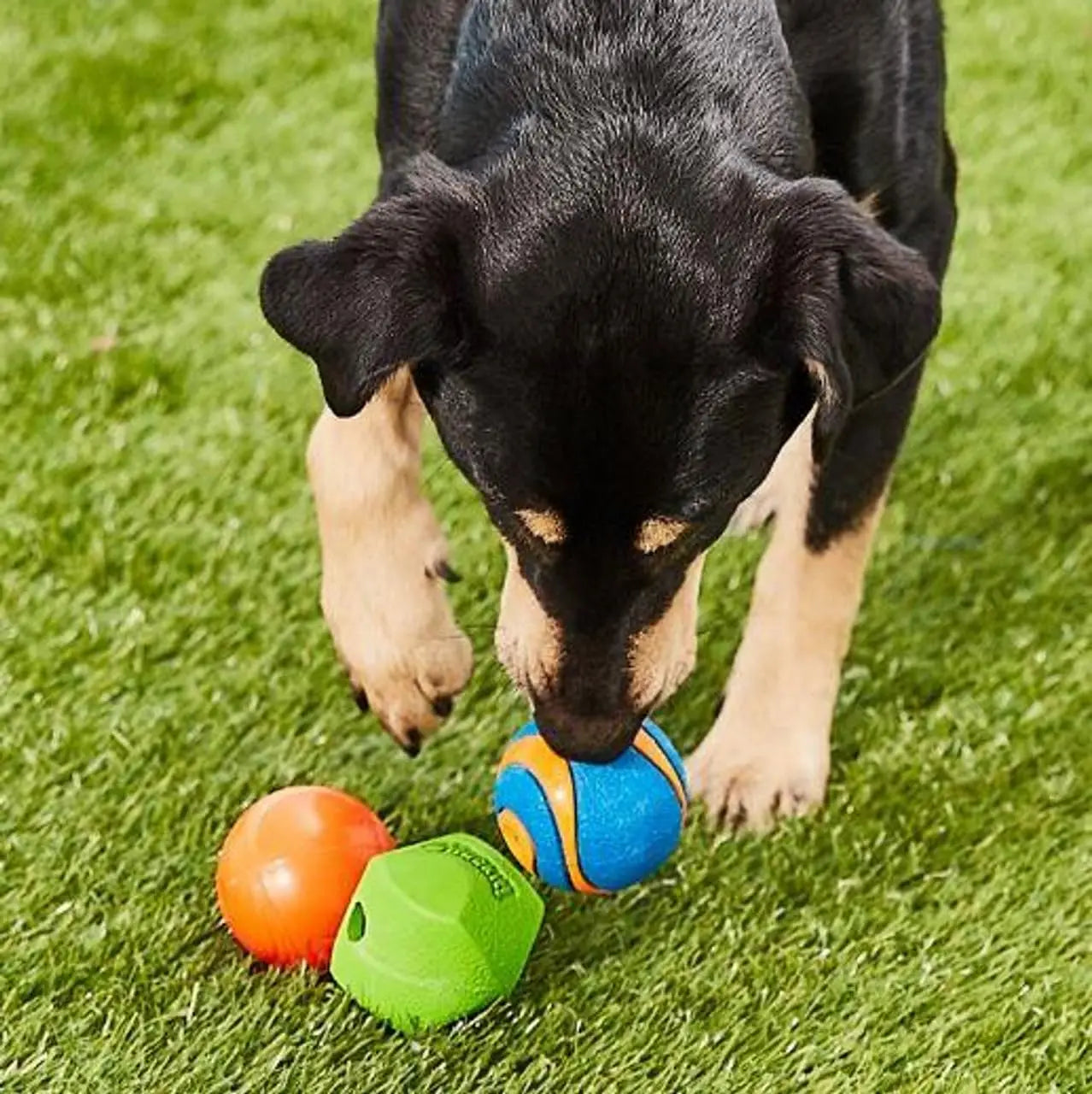 Fetch Balls for Dogs – Medium Size, Durable Rubber, Compatible with Chuckit Ball Launchers-5