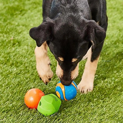 Fetch Balls for Dogs – Medium Size, Durable Rubber, Compatible with Chuckit Ball Launchers-5