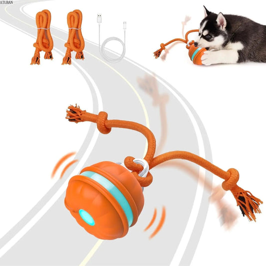 Interactive Dog Toy for Dogs – Motion Activated, Automatic Rolling, Rechargeable-1