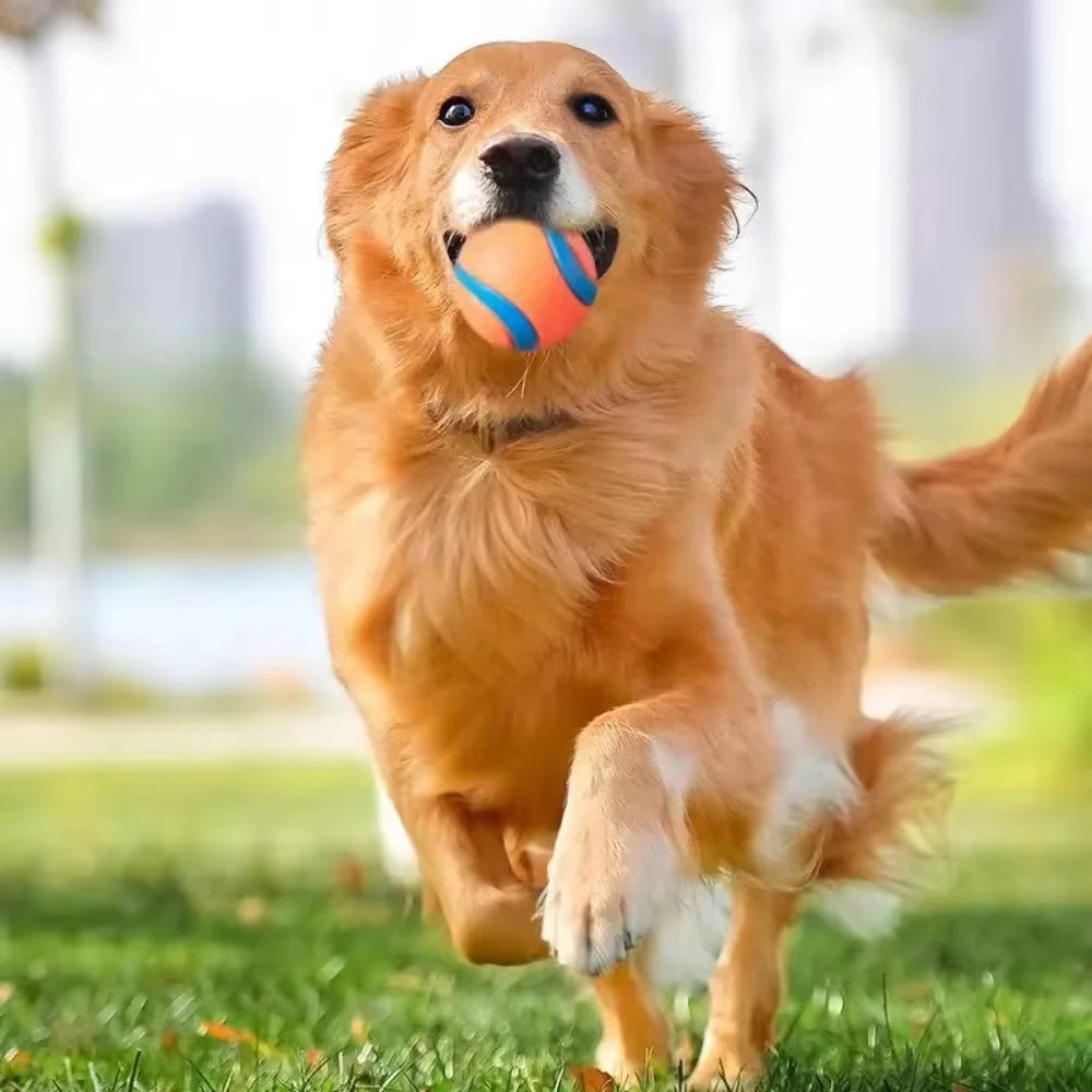 Fetch Ball Toy for Dogs – Tough, Durable, Solid Elastic for Interactive Play-3