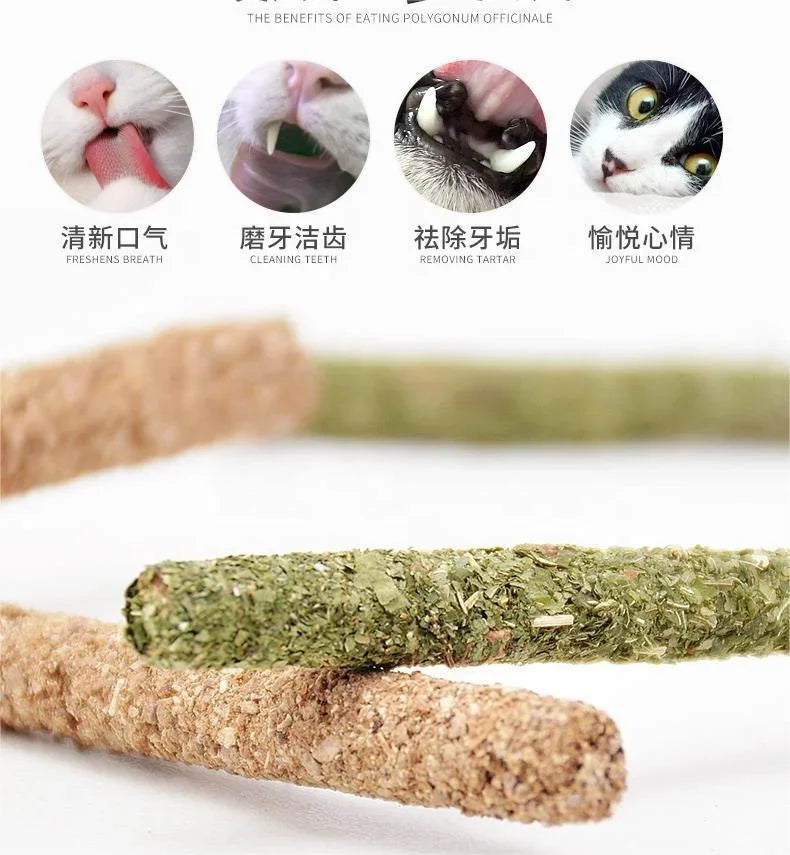 Cat Chew Sticks – Natural Matatabi Silvervine, Promotes Dental Health, 6-Pack-3