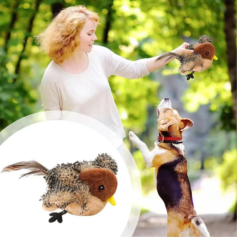 Interactive Cat Toy – USB Rechargeable, Remote Control, Flapping Bird-4