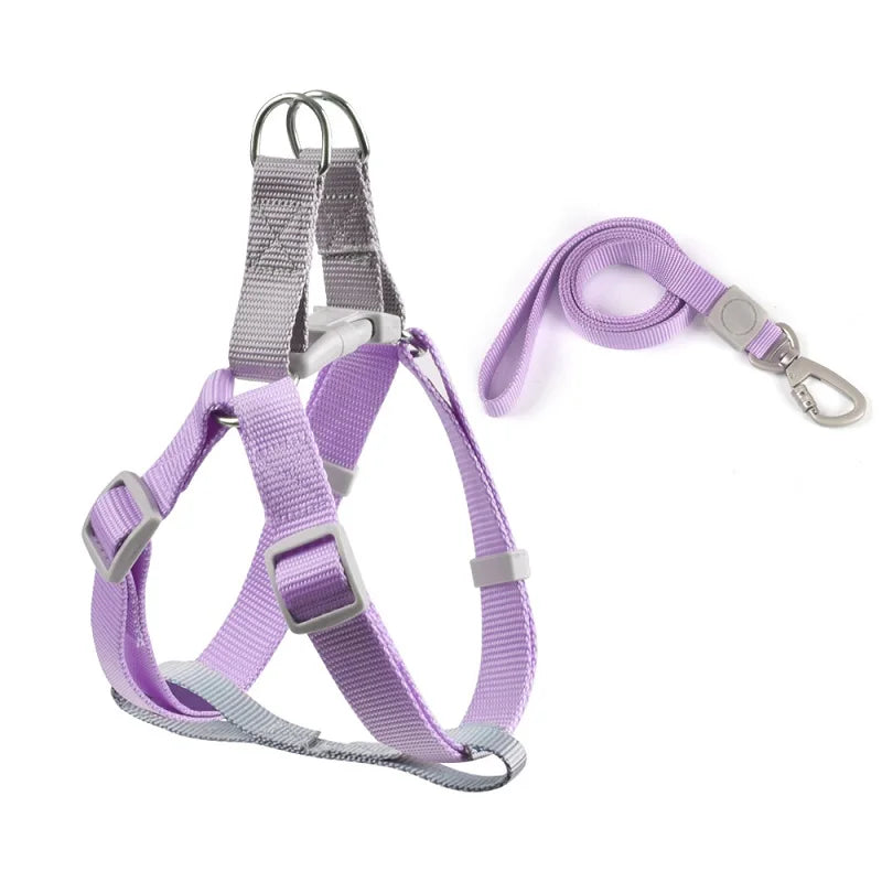 Variant image for Adjustable Dog Harness for Small Dogs – Comfortable, Durable, Includes Leash-3