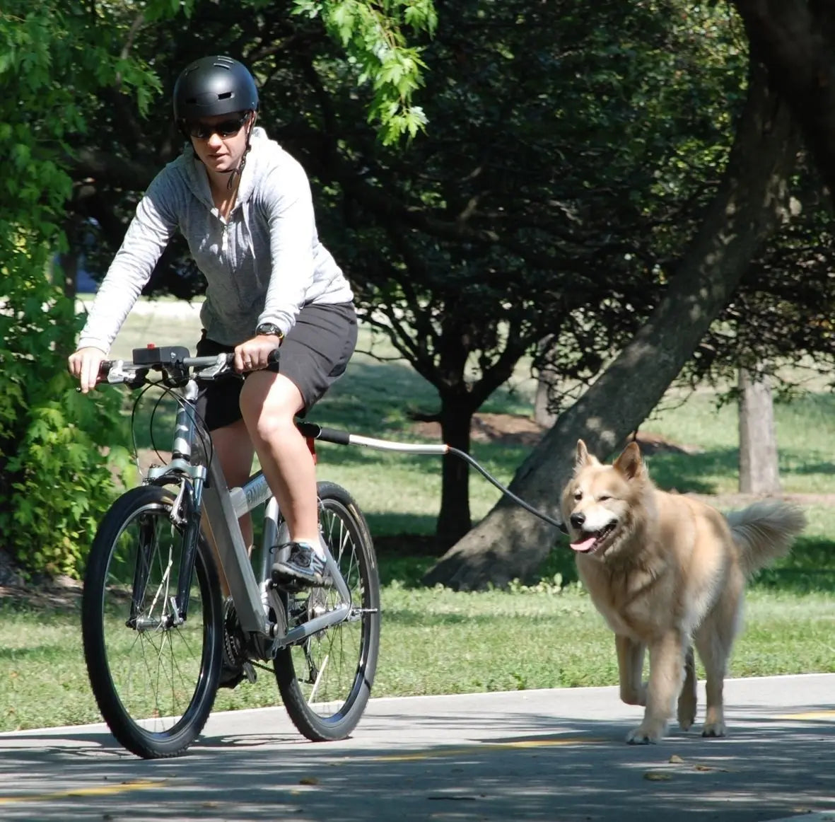 Bicycle Leash for Dogs – Removable Elastic, Durable Metal Design, Ideal for Cycling-4