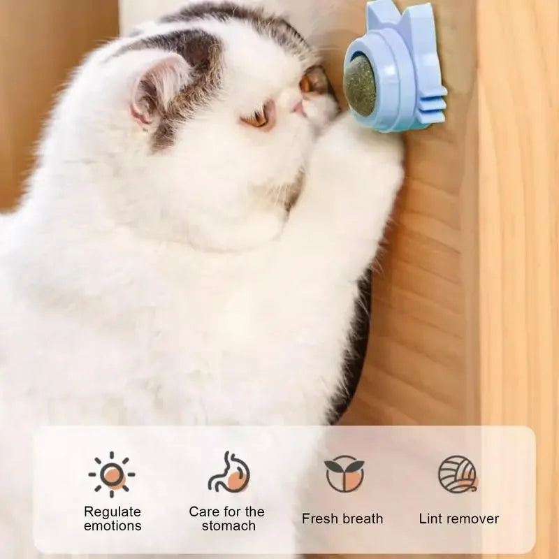 Cat Toy for Cats – Catnip Balls, Lickable Snack, Promotes Dental Health-6