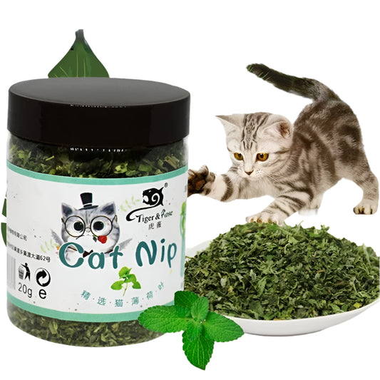 Catnip Toys for Cats – 100% Organic, Mint Flavor, Interactive Play-1