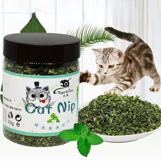 Catnip Toys for Cats – 100% Organic, Mint Flavor, Interactive Play-2
