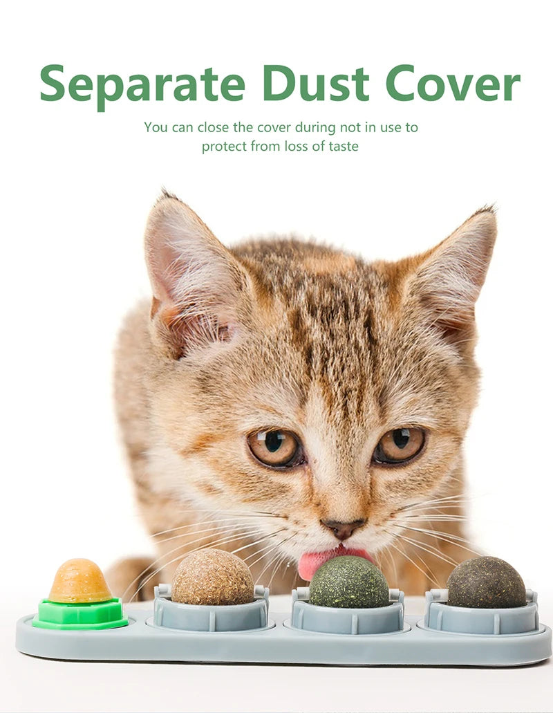 Cat Dental Treats for Cats – Edible Silvervine, Promotes Dental Health, Engaging Chew-4
