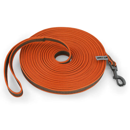 Variant image for Dog Leash for Medium to Large Dogs – Lightweight, Durable Latex Silk, 10M Long-6