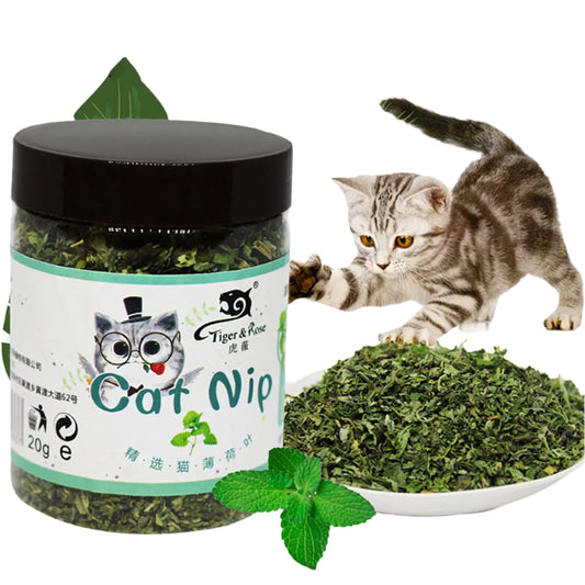 Cat Toy for Cats – Interactive Design, Organic Catnip, Mint Flavor-2