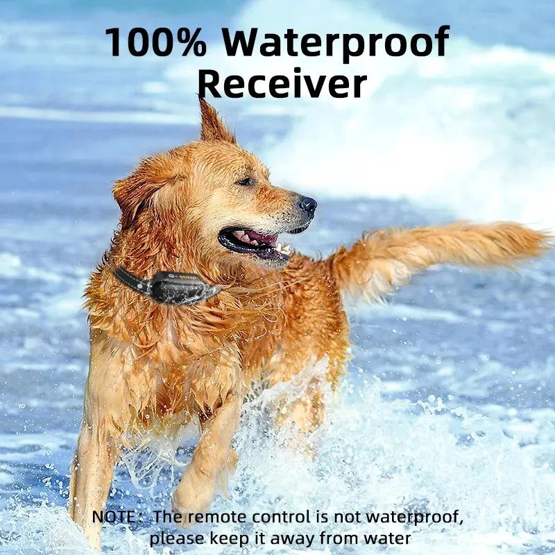 Rechargeable Waterproof Dog Training Collar with Remote Control, Vibration and Shock Functions, Adjustable Size, IPX7-6