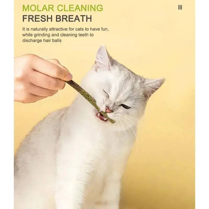 Dental Sticks for Cats – 100% Natural Silvervine, Promotes Dental Health, Reduces Anxiety-5