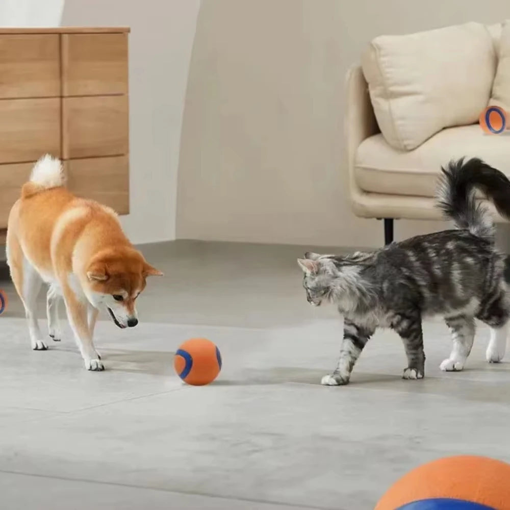 Fetch Ball Toy for Dogs – Tough, Durable, Solid Elastic for Interactive Play-5