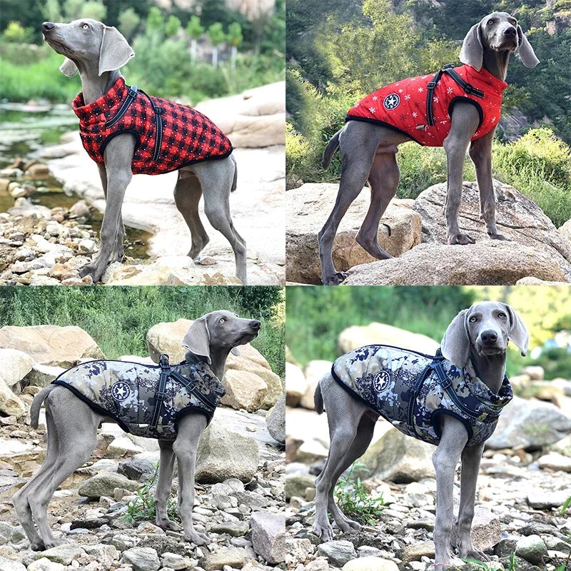 Waterproof Dog Coat for Winter – Warm Fleece Lining, Adjustable Harness, Reflective Design-3