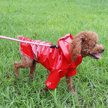 Dog Raincoat for Small Dogs – Waterproof, Reflective, Comfortable Fit-3