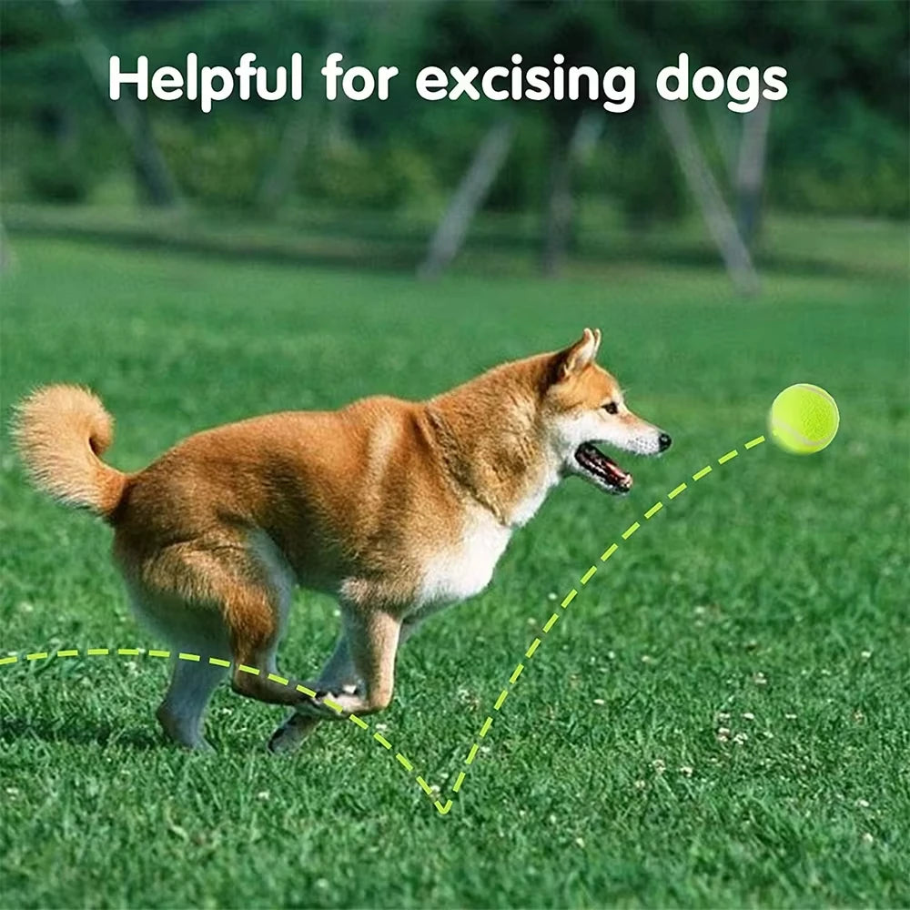 Tennis Balls for Dogs – 12-Pack, 2-Inch, Durable Latex, Non-Slip Grip-6
