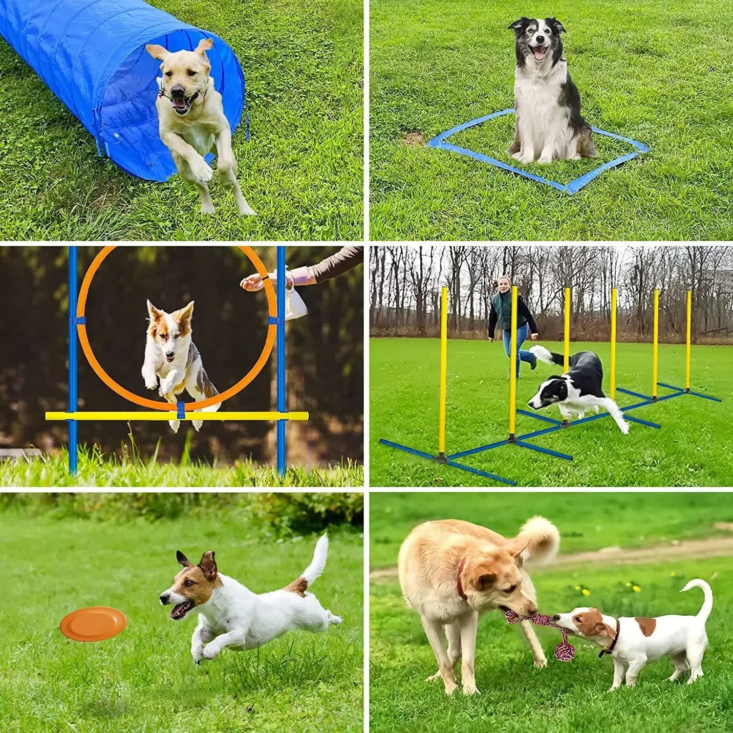 Agility Course Equipment for Dogs – Complete Obstacle Set, Adjustable Jumping Bar, Durable Design-5