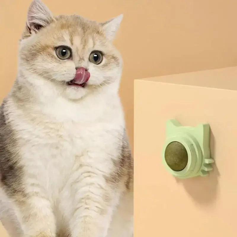 Cat Toy for Cats – Catnip Balls, Lickable Snack, Promotes Dental Health-4