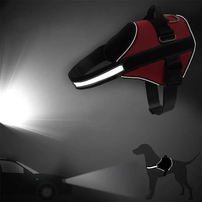 No-Pull Dog Harness for Outdoor Walking – Reflective, Breathable, Adjustable Design-4