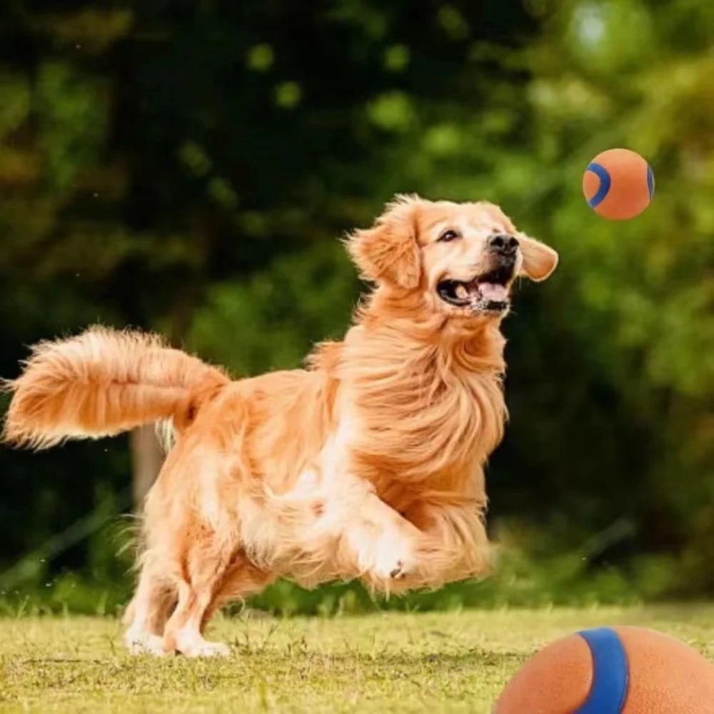 Fetch Ball Toy for Dogs – Tough, Durable, Solid Elastic for Interactive Play-2