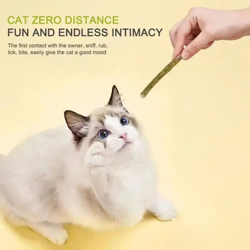 Dental Sticks for Cats – 100% Natural Silvervine, Promotes Dental Health, Reduces Anxiety-4