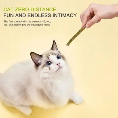 Dental Sticks for Cats – 100% Natural Silvervine, Promotes Dental Health, Reduces Anxiety-4