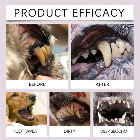 Pet Toothbrush for Dogs and Cats – Easy Teeth Cleaning, Fresh Breath, Compact Design-2