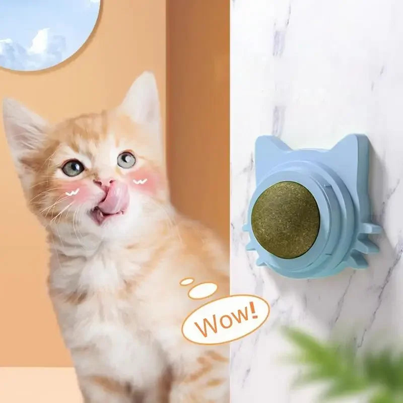 Cat Toy for Cats – Catnip Balls, Lickable Snack, Promotes Dental Health-5
