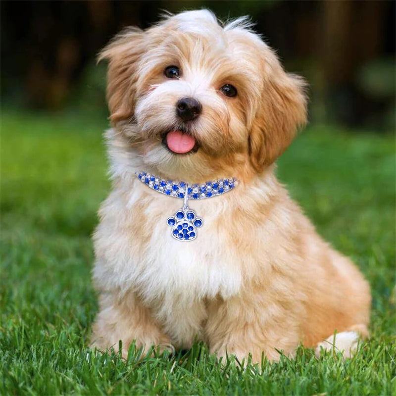 Dog Necklace for Small to Medium Pets – Durable Alloy, Adjustable Length, Rhinestone Design-2