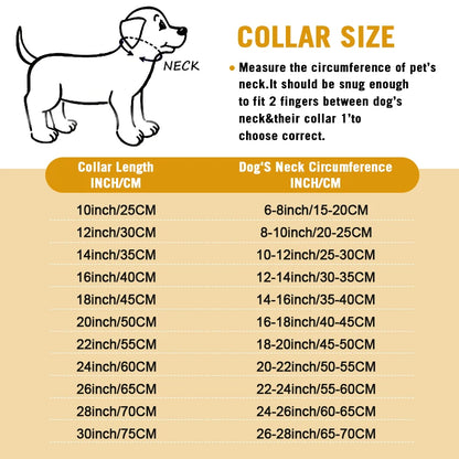 Choke Collar for Dogs – Heavy-Duty Stainless Steel, 18K Gold-Plated, Anti-Rust Design-2