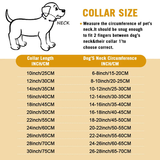 Choke Collar for Dogs – Heavy-Duty Stainless Steel, 18K Gold-Plated, Anti-Rust Design-2