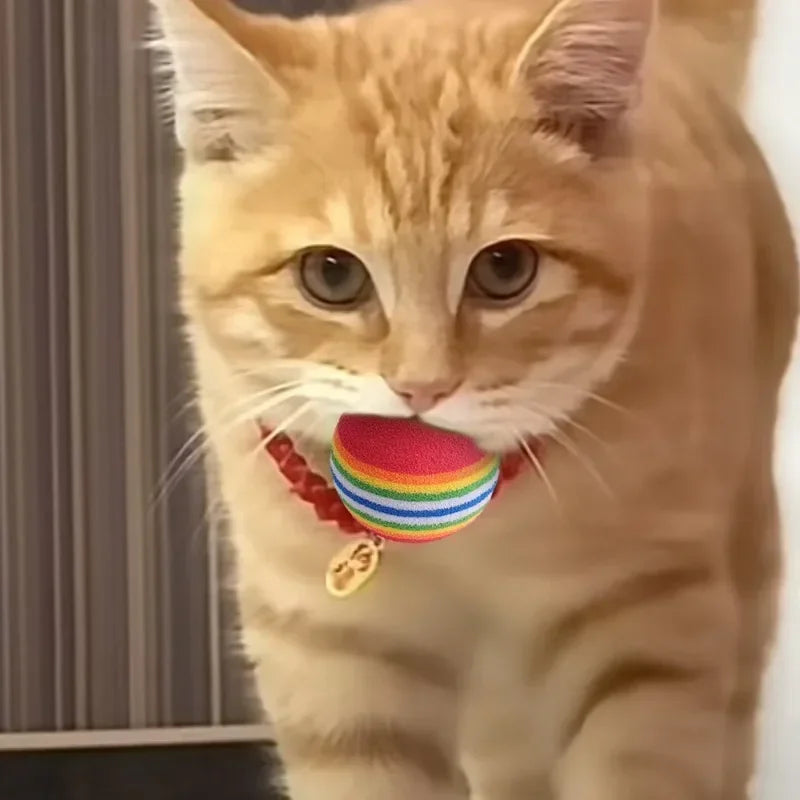 Interactive Toy Balls for Dogs and Cats – Automatic Jumping, Soft EVA, Rainbow Colors-4