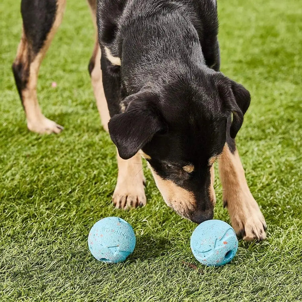 Fetch Balls for Dogs – Medium Size, Durable Rubber, Compatible with Chuckit Ball Launchers-6