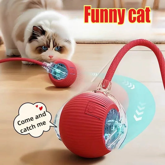 Interactive Cat Toy – Rolling Ball, Rechargeable, Quiet Operation, Durable Design-2