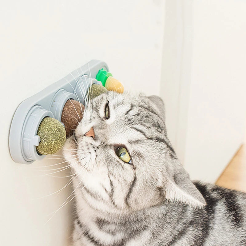 Cat Dental Treats for Cats – Edible Silvervine, Promotes Dental Health, Engaging Chew-6