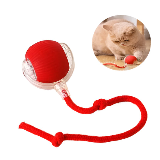 Variant image for Interactive Cat Toy – Rolling Ball, Rechargeable, Quiet Operation, Durable Design-3