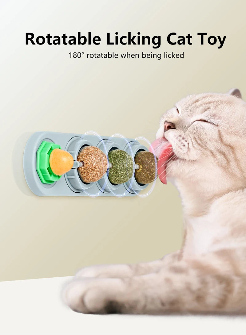 Cat Dental Treats for Cats – Edible Silvervine, Promotes Dental Health, Engaging Chew-3
