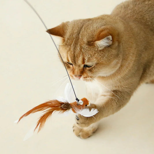 Interactive Cat Toy for Cats – Hands-Free Feather Wand, Powerful Suction Cup, Includes Bell-2