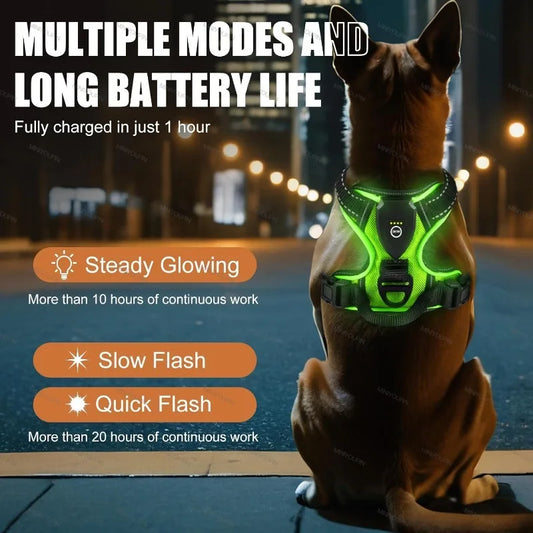 LED Dog Harness for Night Safety – No Pull Design, Rechargeable, Comfortable Fit-2