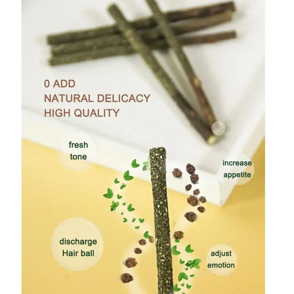 Dental Sticks for Cats – 100% Natural Silvervine, Promotes Dental Health, Reduces Anxiety-6
