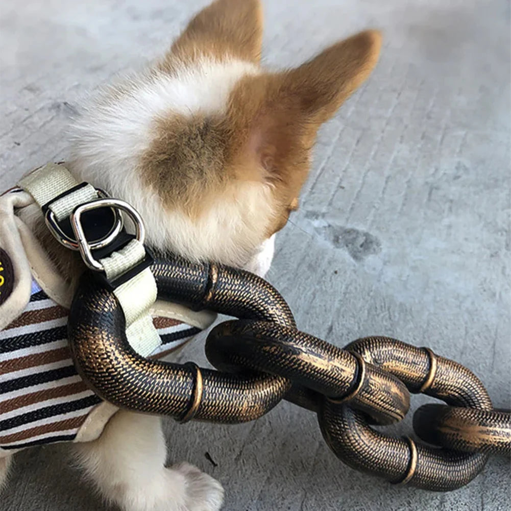 Funny Dog Leash for Small to Large Dogs – Lightweight, Unique Iron Chain Design, Durable Plastic-4
